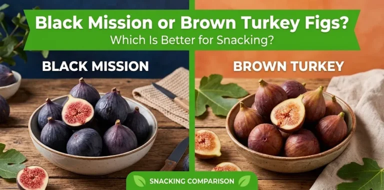 Black Mission or Brown Turkey Figs Which Is Better for Snacking
