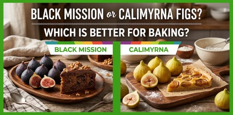 Black Mission or Calimyrna Figs Which Is Better for Baking