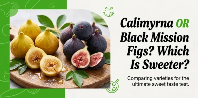 Calimyrna or Black Mission Figs Which Is Sweeter