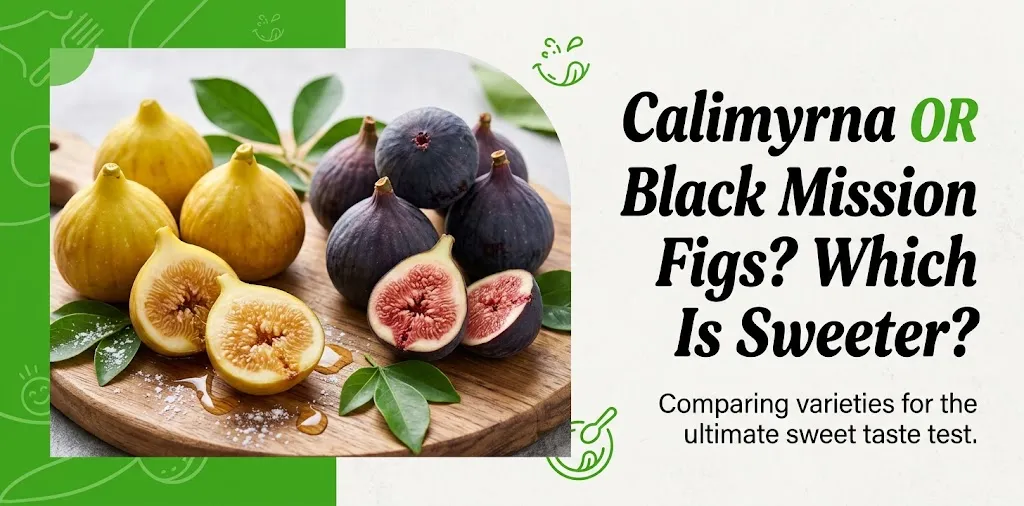 Calimyrna or Black Mission Figs Which Is Sweeter