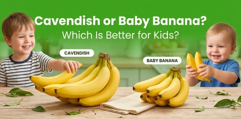 Cavendish or Baby Banana Which Is Better for Kids
