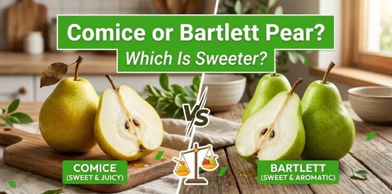Comice or Bartlett Pear Which Is Sweeter