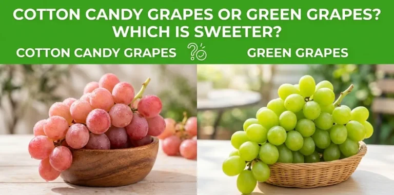 Cotton Candy Grapes or Green Grapes Which Is Sweeter