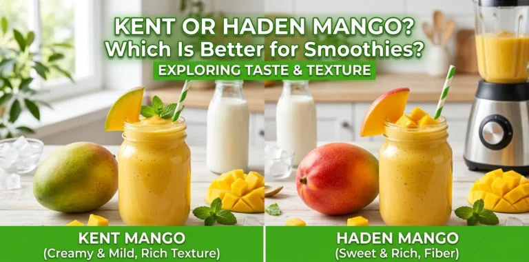Kent or Haden Mango Which Is Better for Smoothies