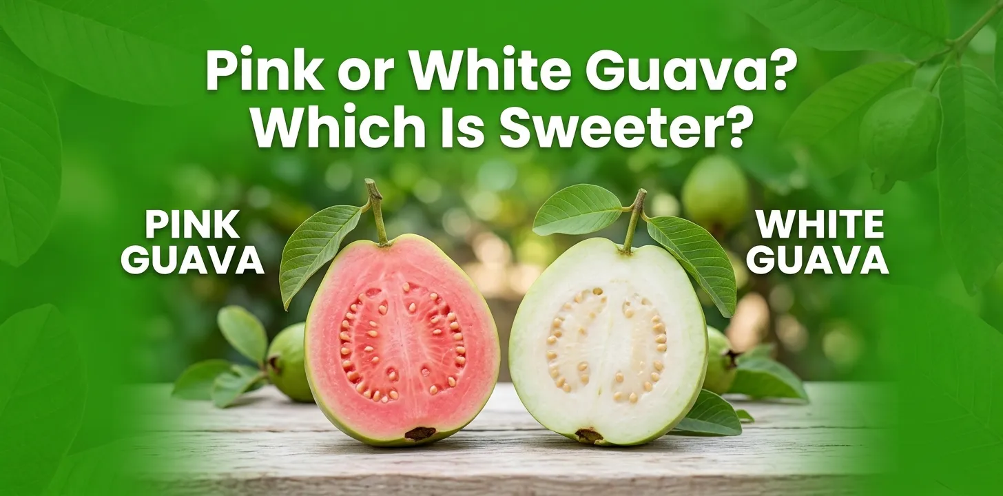 Pink or White Guava Which Is Sweeter