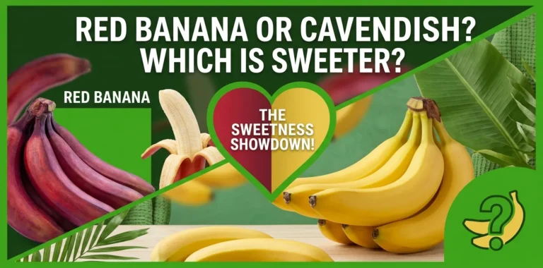Red Banana or Cavendish Which Is Sweeter